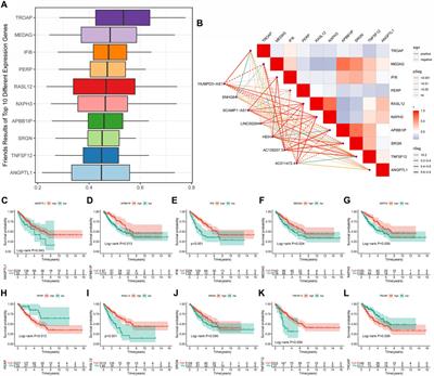 Comprehensive analysis of a novel cuproptosis-related lncRNA signature associated with prognosis and tumor matrix features to predict immunotherapy in soft tissue carcinoma